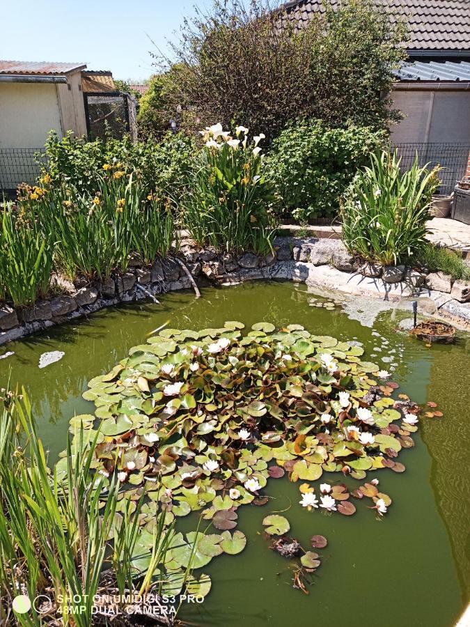 Le Lion Des Flandres Villa Ruminghem Eksteriør billede